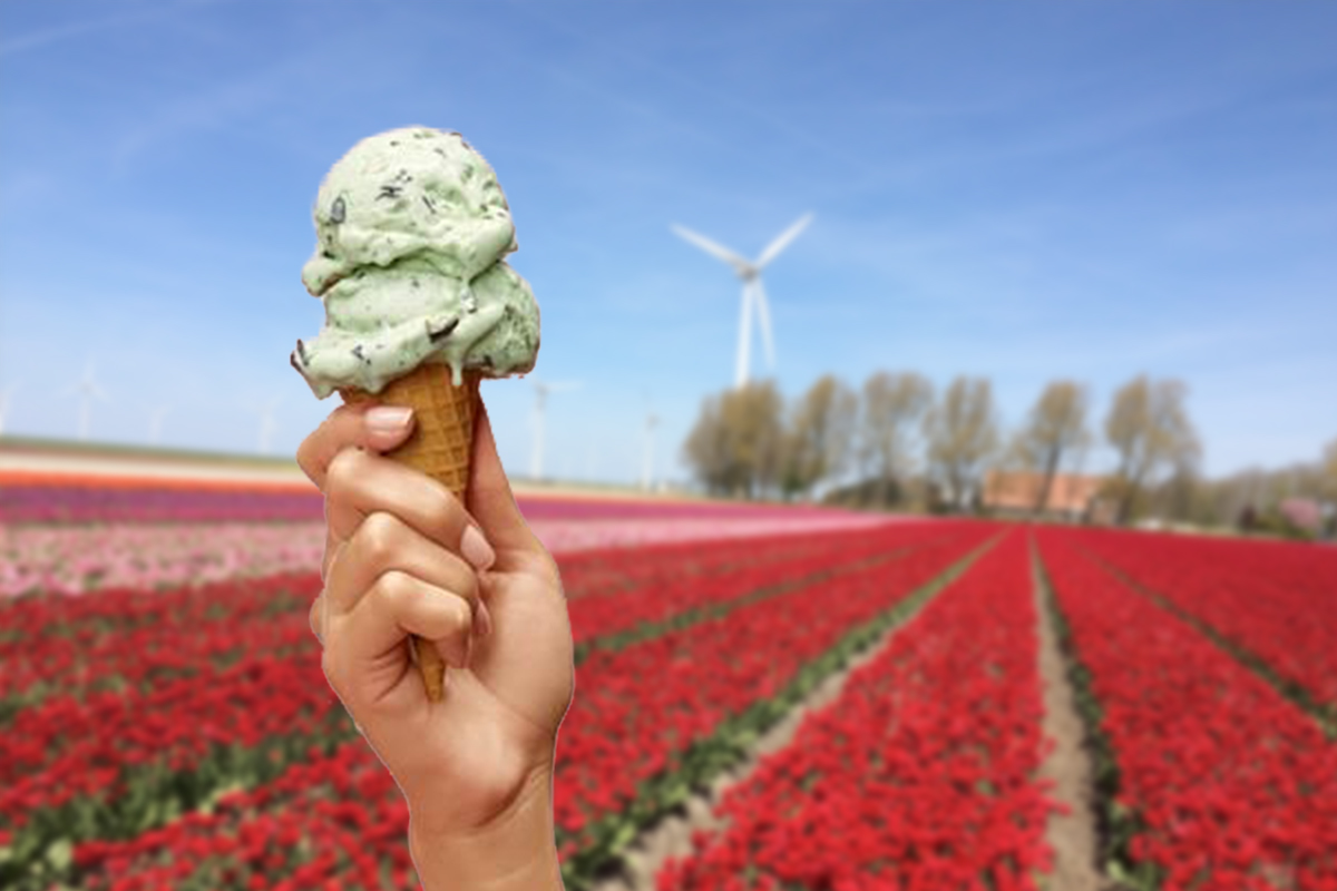 IJskar huren in Flevoland